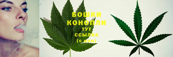 гидра Ладушкин
