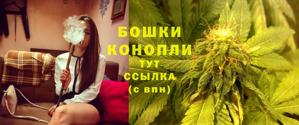 ГАЛЛЮЦИНОГЕННЫЕ ГРИБЫ Лабытнанги