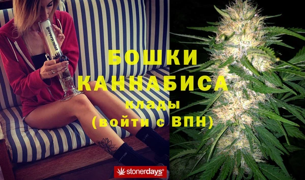 гидра Ладушкин